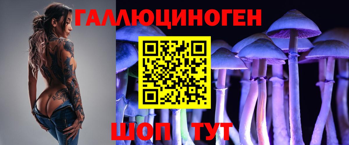 Галлюциногенные грибы MAGIC MUSHROOMS Лосино-Петровский
